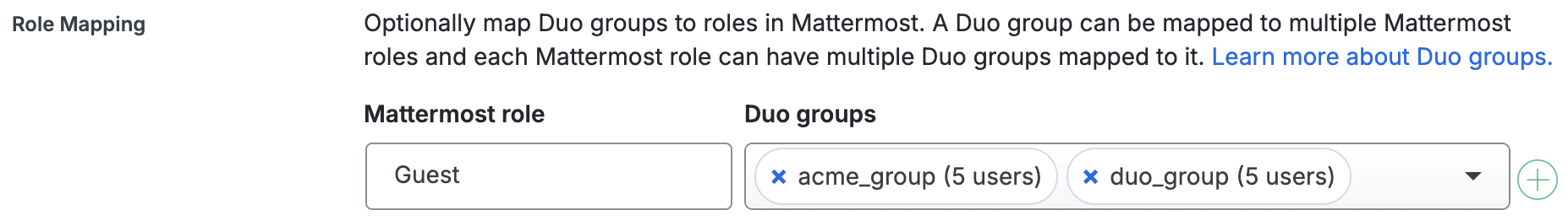 Duo Mattermost Guest Role Mapping